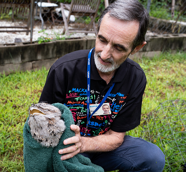 RSPCA Queensland volunteer, Warren Howard